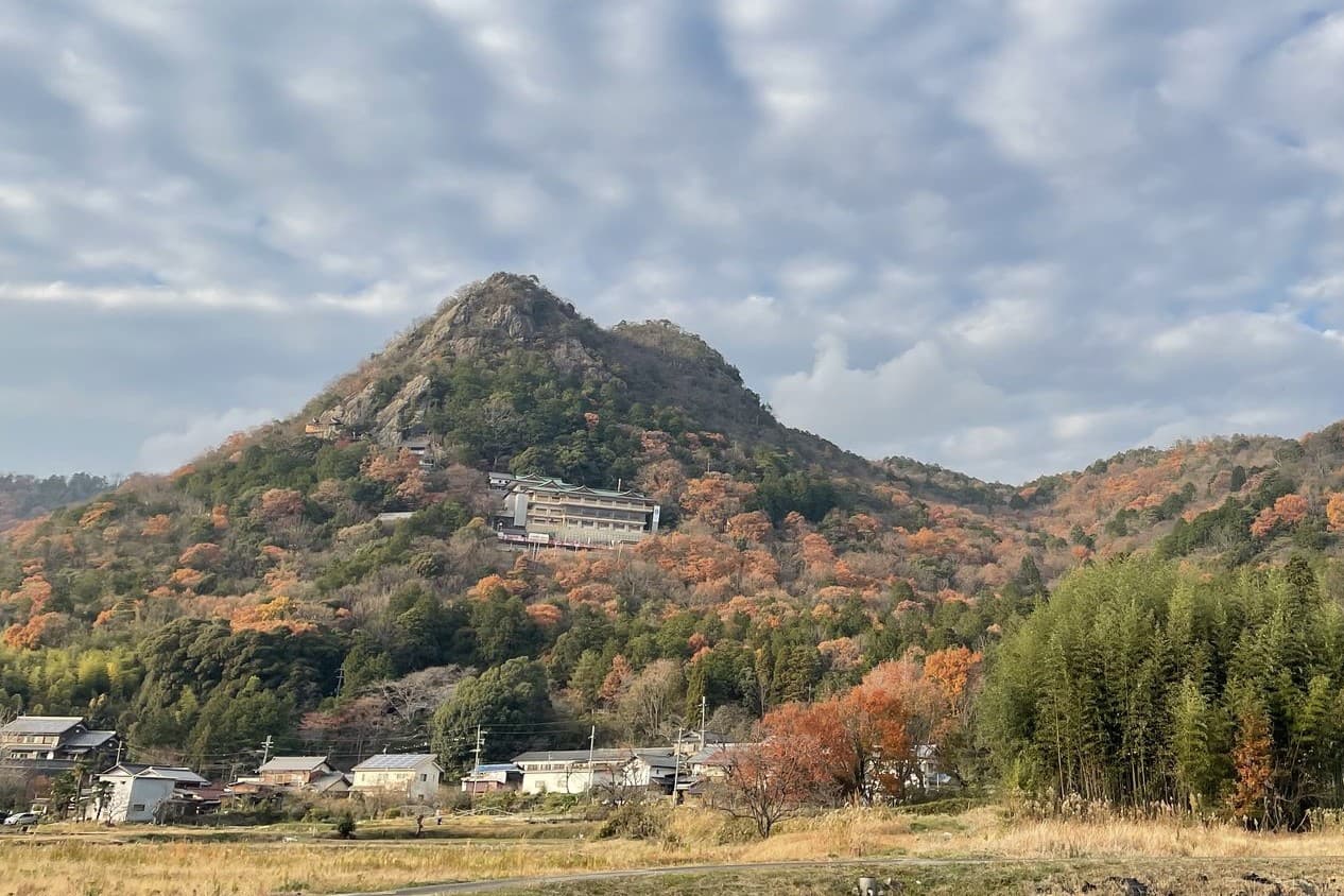 麓の田園越しに望む太郎坊山。うろこ雲の広がる空の下、こんもりとした山が里にそびえる